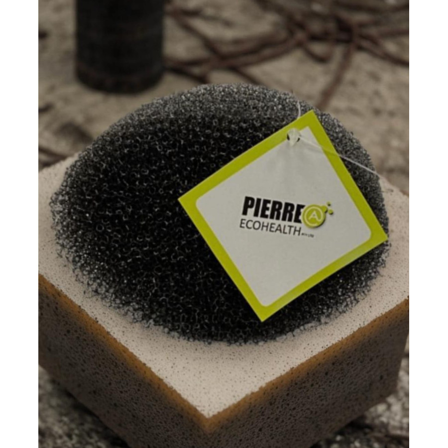 Body Sponge Body Sponge